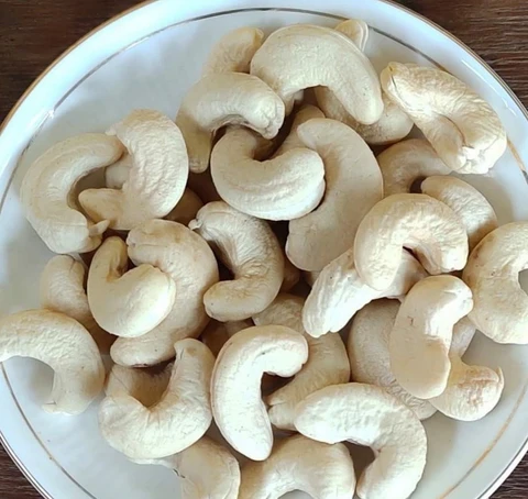 TRISAKTI Cashew Processing