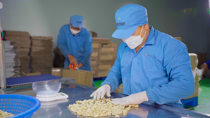 Inspecting incoming cashews
