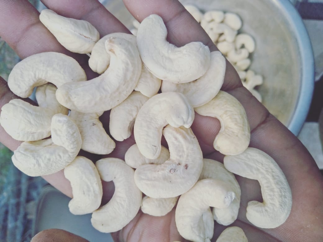 W150/ W180  WHOLE CASHEW KARNEL