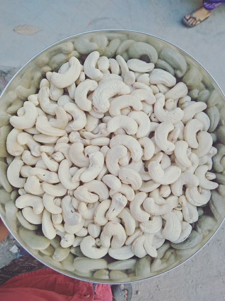 W210 WHOLE CASHEW KARNEL 
