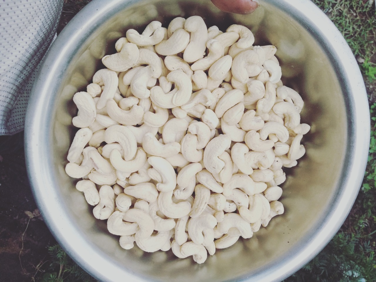 W240 WHOLE CASHEW KARNEL 